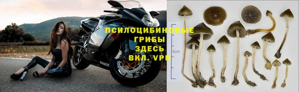 прущие крисы Абинск